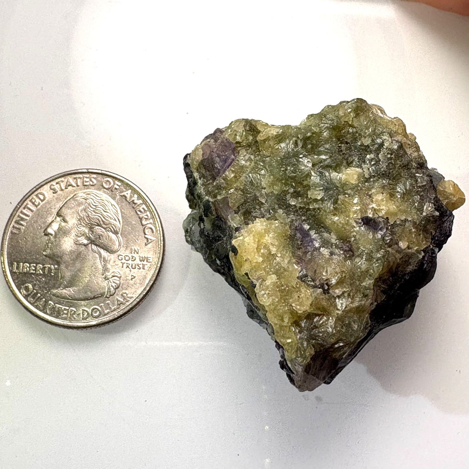 Natural Phantom Fluorite w/ Green Mica Raw Mineral Specimen w/ Acrylic Stand