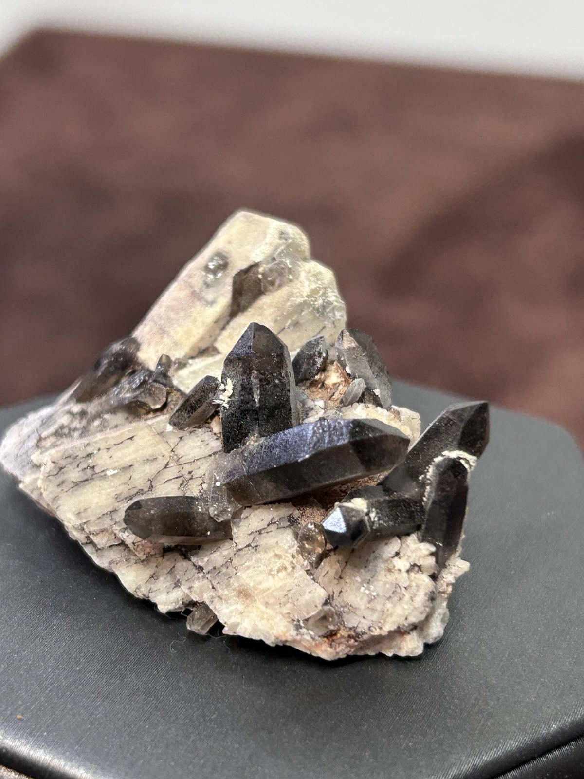 Smoky Quartz on Microcline Colorado Crystal Lined Pocket Miniature Mineral