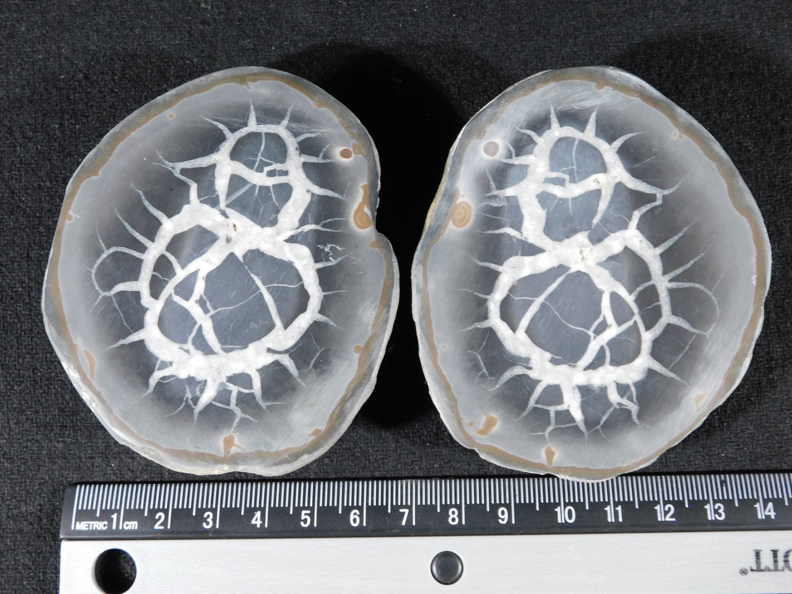 Larger! Cut and Polished SEPTARIAN Nodule 100% Natural Morocco 341gr