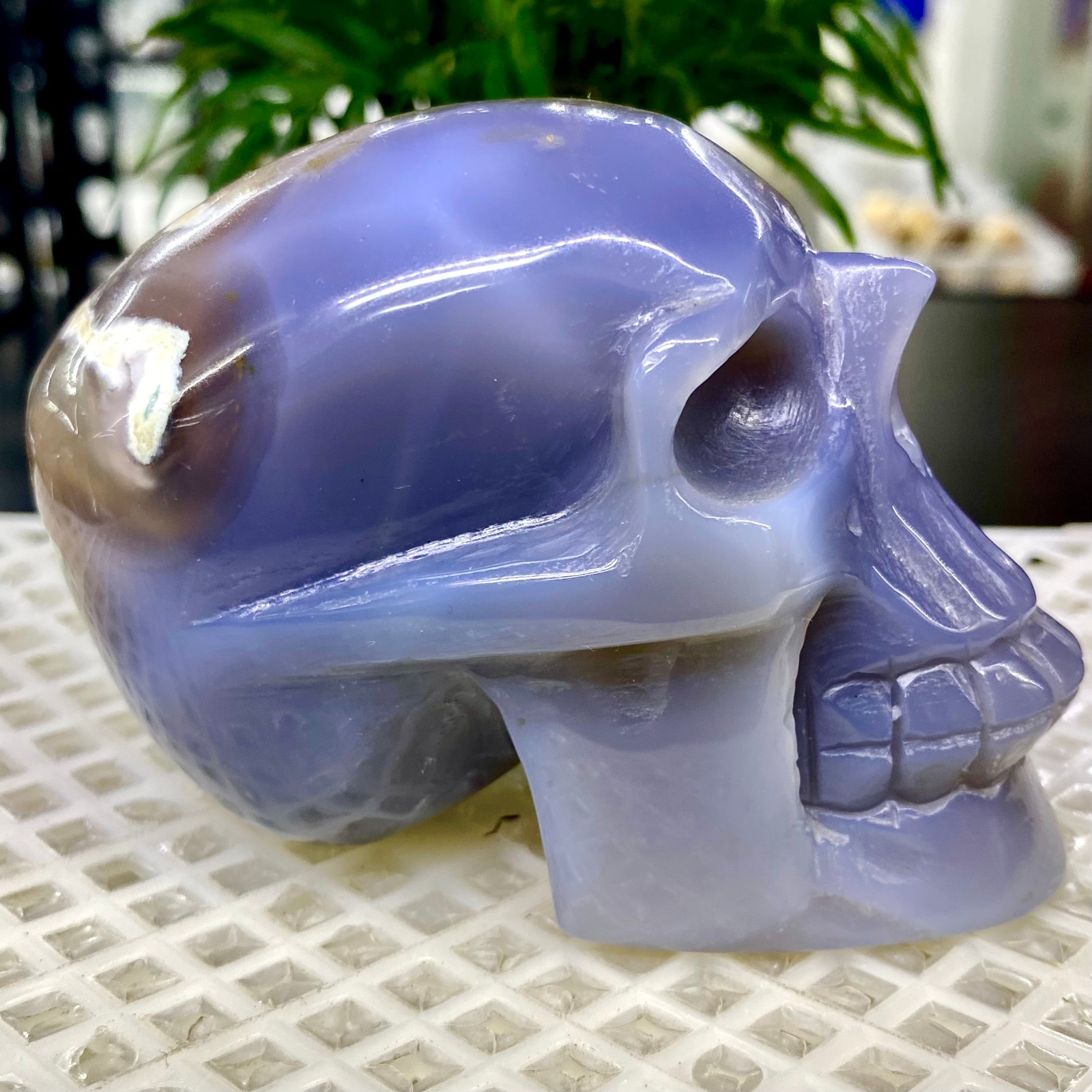 465G Natural Crystal Rare Banded Blue Flower Agate Skull Carving