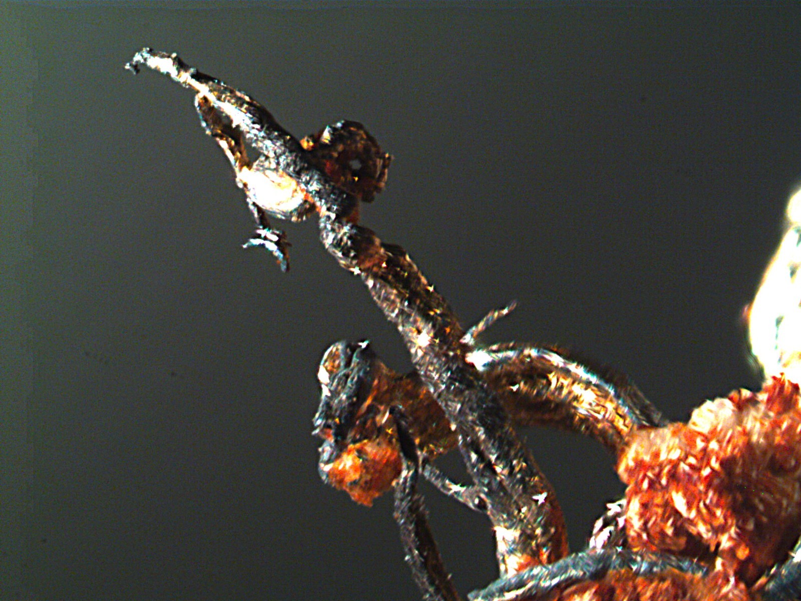 SILVER RARE MINERAL THUMBNAIL LITTLE CABINET MINIATURE FROM PERU