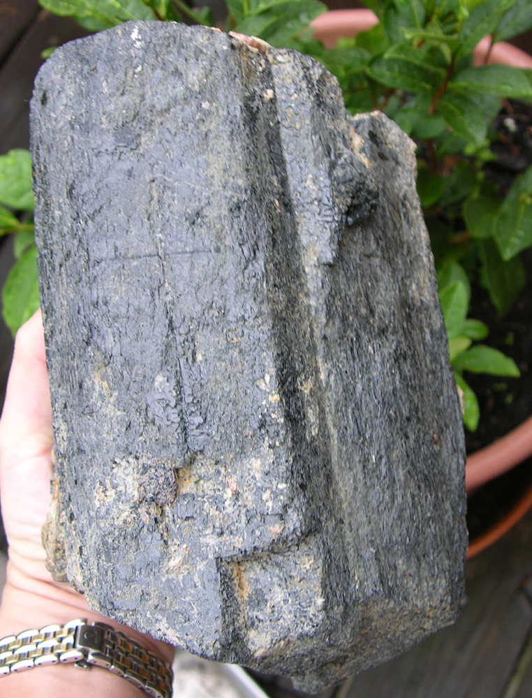 10lbs 8in Ontario Canada Huge Raw Hornblende Crystal Museum Specimen 4.50kg