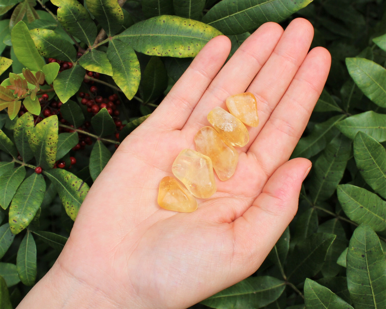 5 lb Bulk Citrine Tumbled Stones: A Grade (Crystal Healing, Chakra)