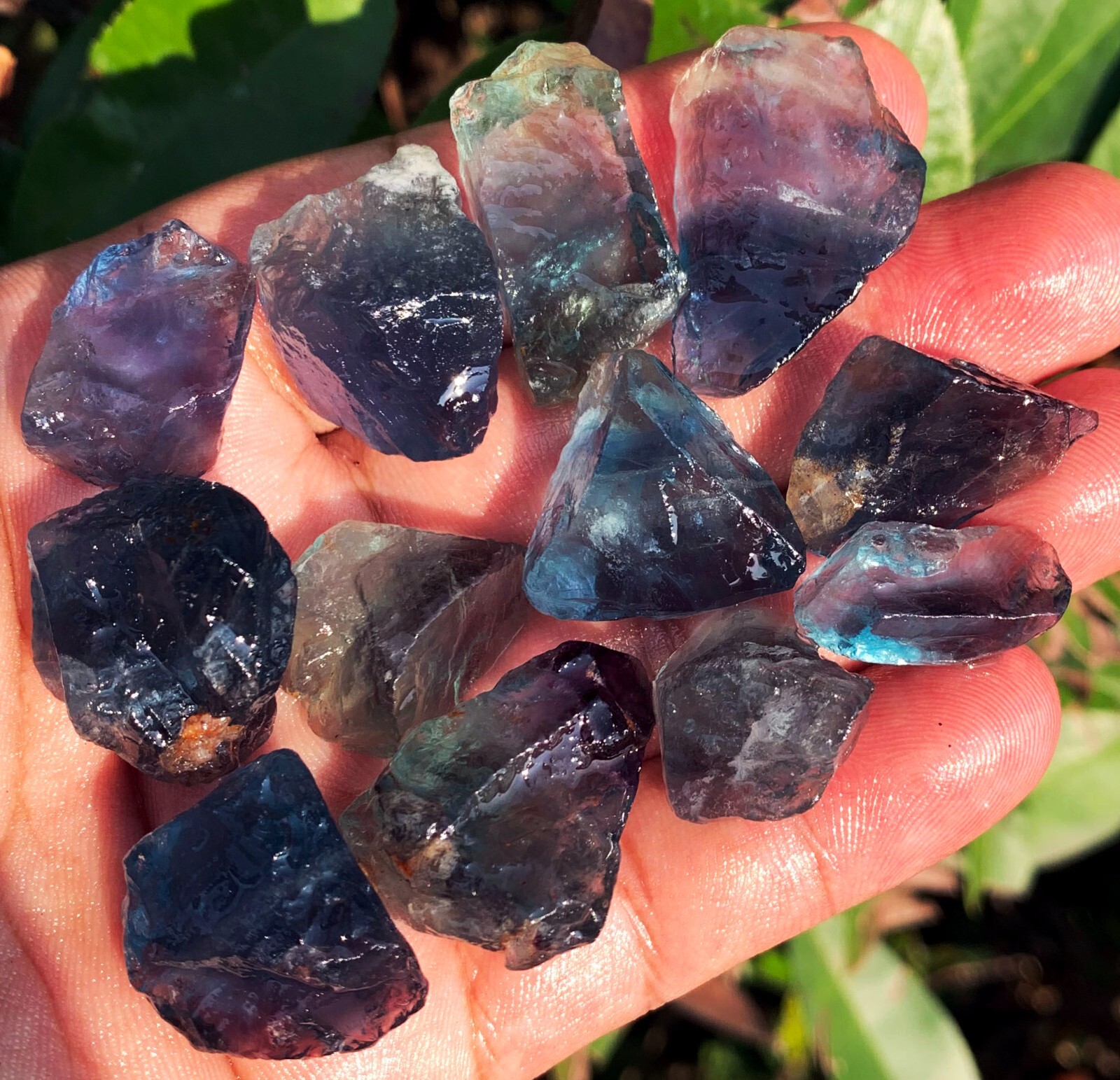 87g 12PC TOP! Natural Fantastic Blue Fluorite Crystal Specimen ic012
