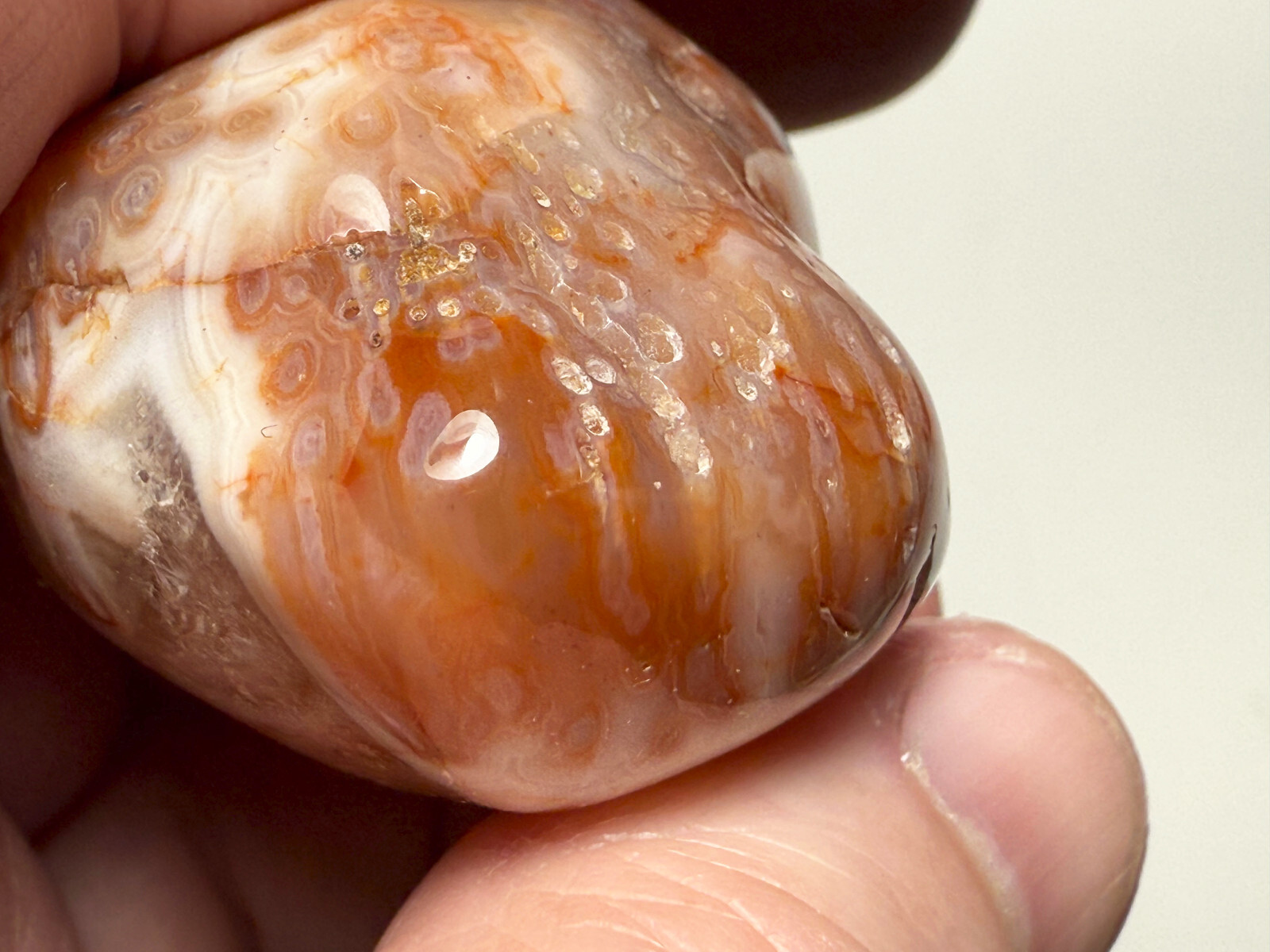2.0 oz Michigan Minnesota Lake Superior Agate LSA #18 EYES BANDS (polished