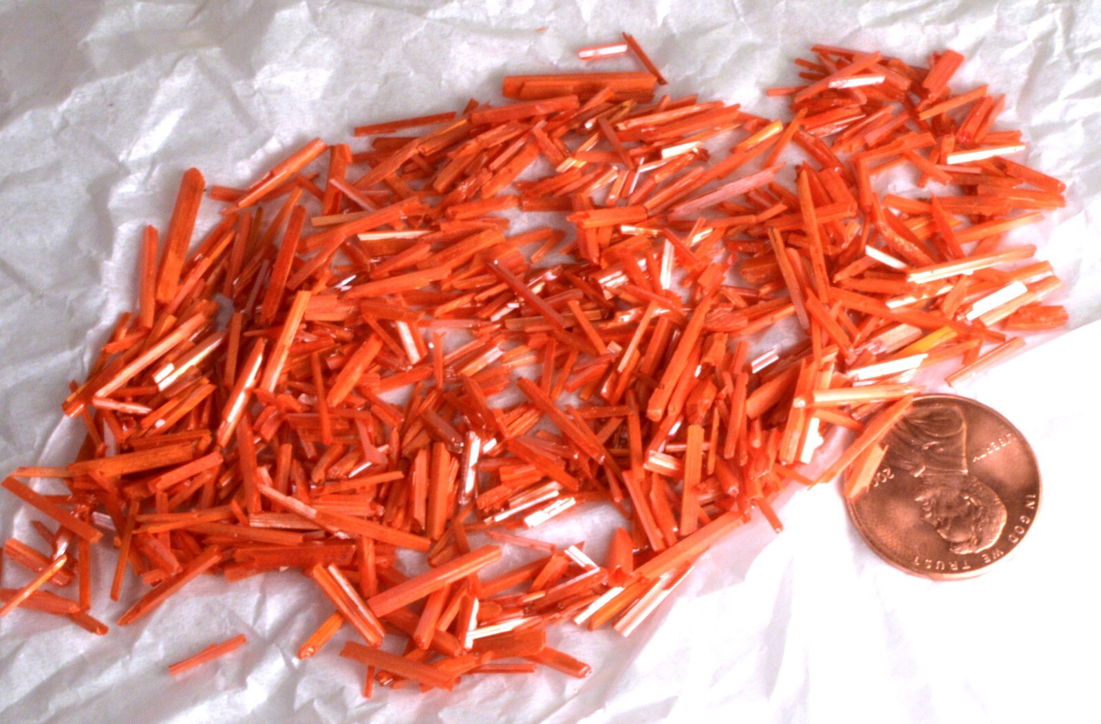 #5186 Crocoite Crystal Stick – Adelaide Mine, Tasmania [5 PIECES ONLY]