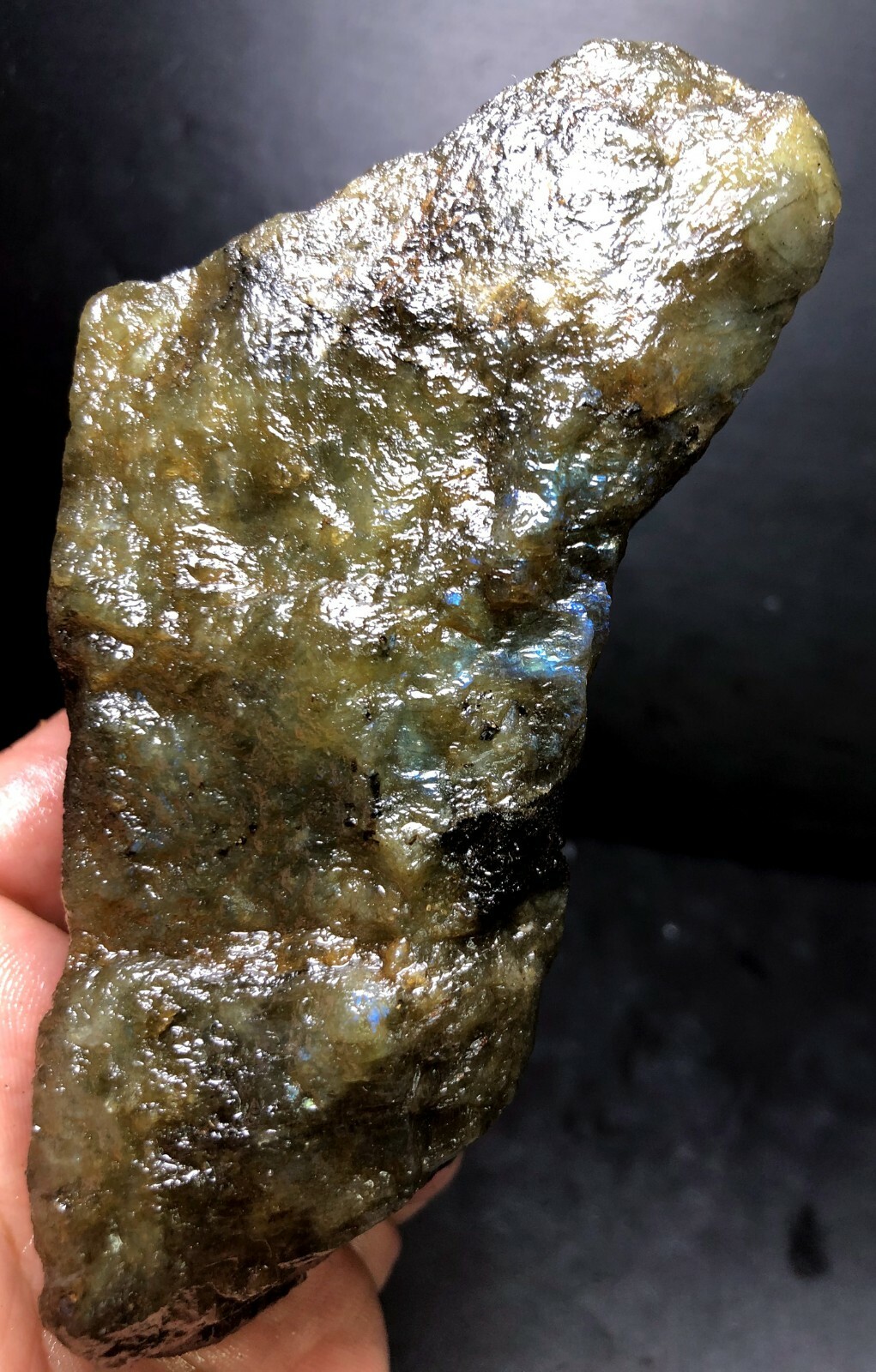 365g Rare Natural Labradorite Crystal Rough not Polished From Madagascar W262