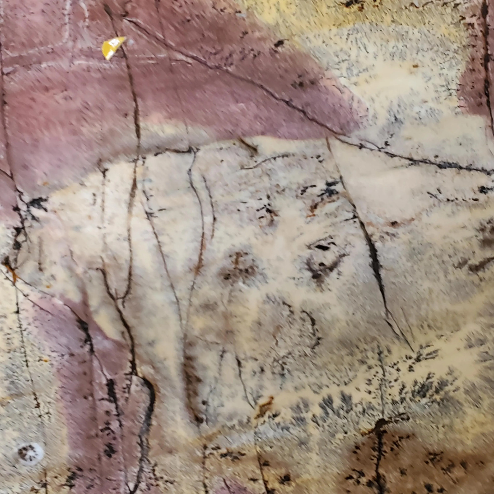Picture Jasper Dendritic Display Crystal Statement Slab FREE Wood Stand 847 gra