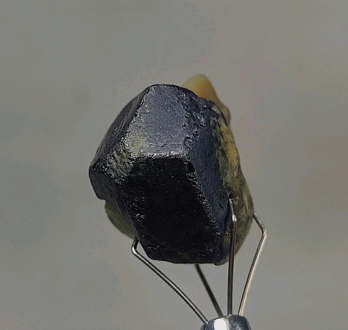 10 gm Stunning Peridot Crystal Combine With Aesthetic Magnetite Crystal.