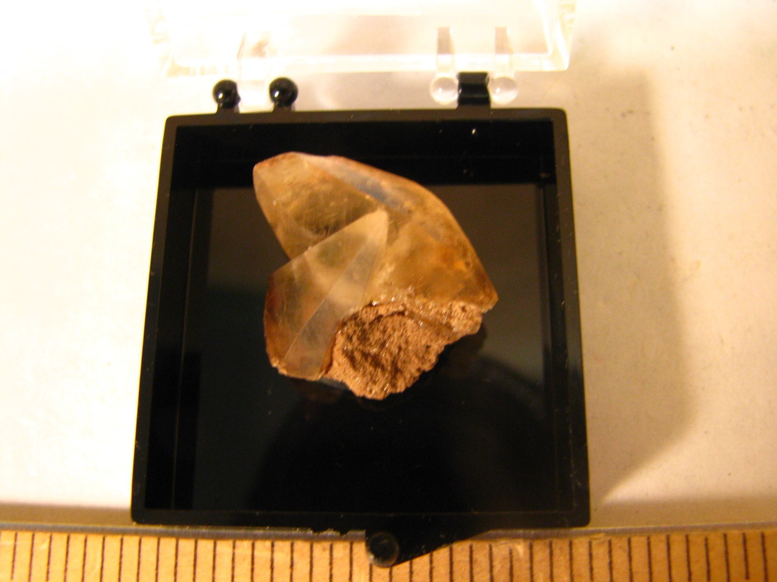 GOLDEN DOGTOOTH CALCITE CRYSTALS THUMBNAIL IN CASE MARBLEHEAD QUARRY OHIO #037