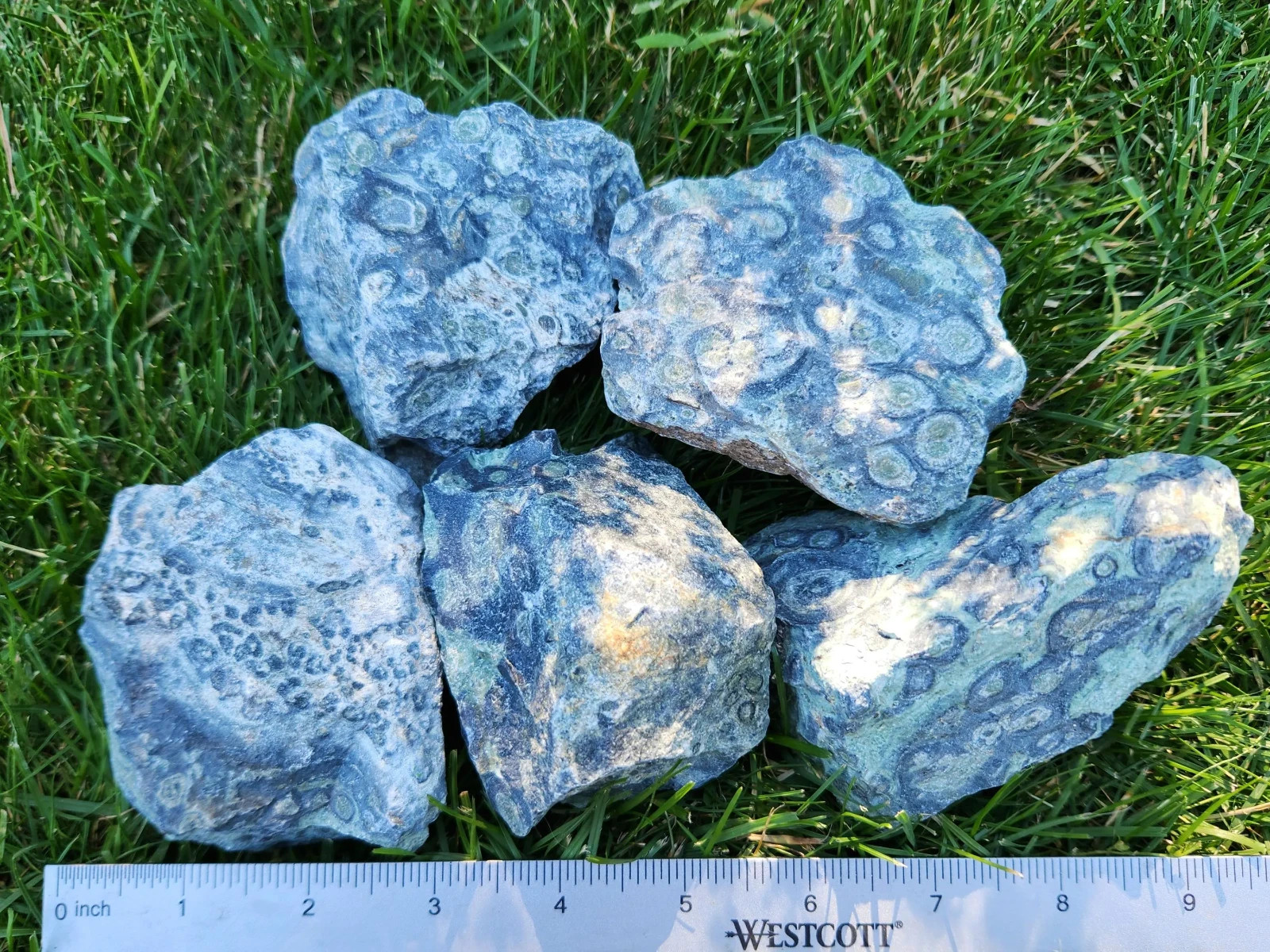 4.5 lbs Kambaba “Crocodile” Jasper – 5 Pieces – Ideal for Lapidary or Tumbling