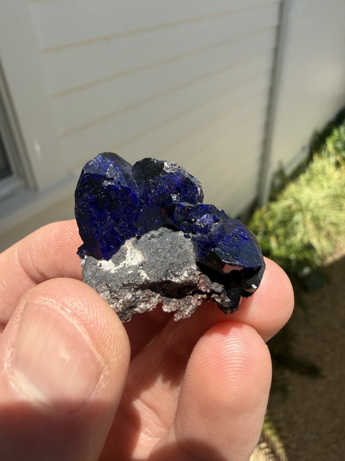Azurite on matrix from Milpillas Mine, Mexico