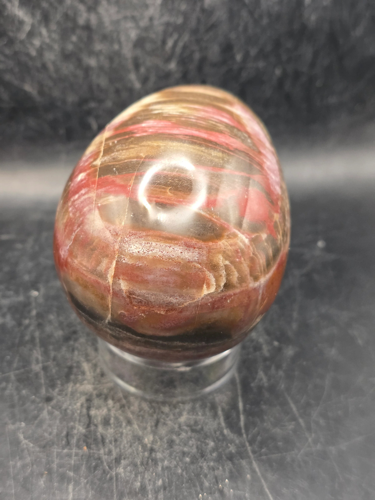 Petrified wood egg! 1.1 pounds, 3.4 inches tall, 2.5 wide