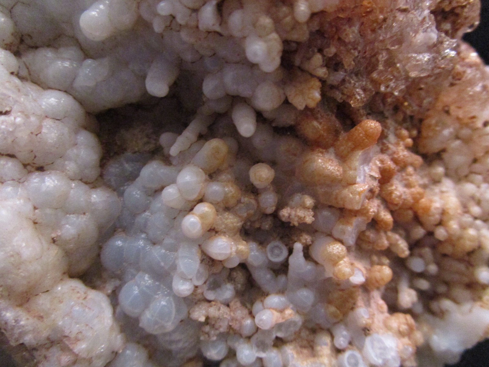 Incredulous Monster Size Fluorescent Hyalite Opal Zacatecas, Mexico Purity Hope