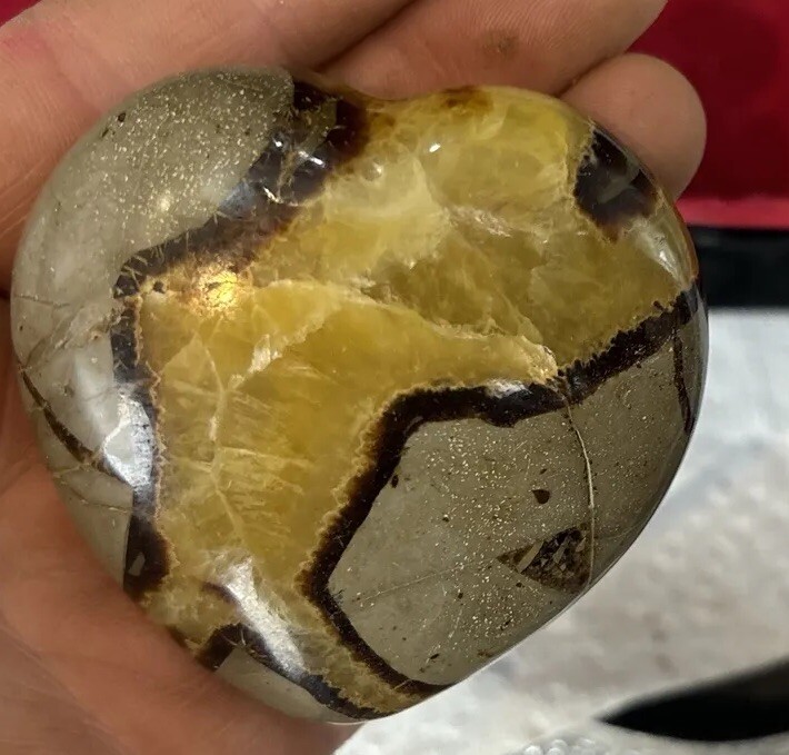 2 1/2 inch septarian nodule puffy heart
