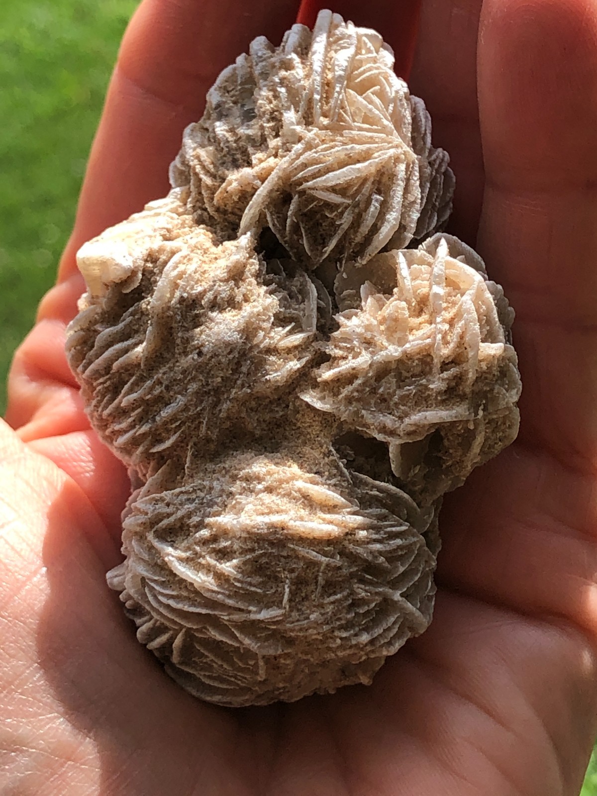 DESERT ROSE SELENITE GYPSUM Crystal Cluster Mineral Specimen 170.6 Grams For All