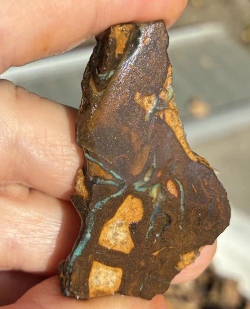 Beautiful 88ct Large Australian Boulder Opal Rough Loose Spider Specimen Green D