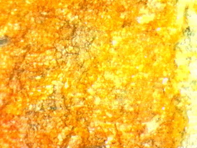 Platinum and Gold Ore Specimen/ Black Hills South Dakota