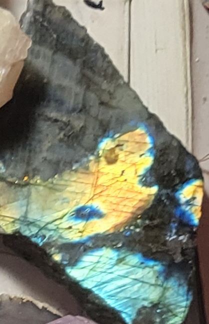 Highly Prized Rock and Mineral Collection