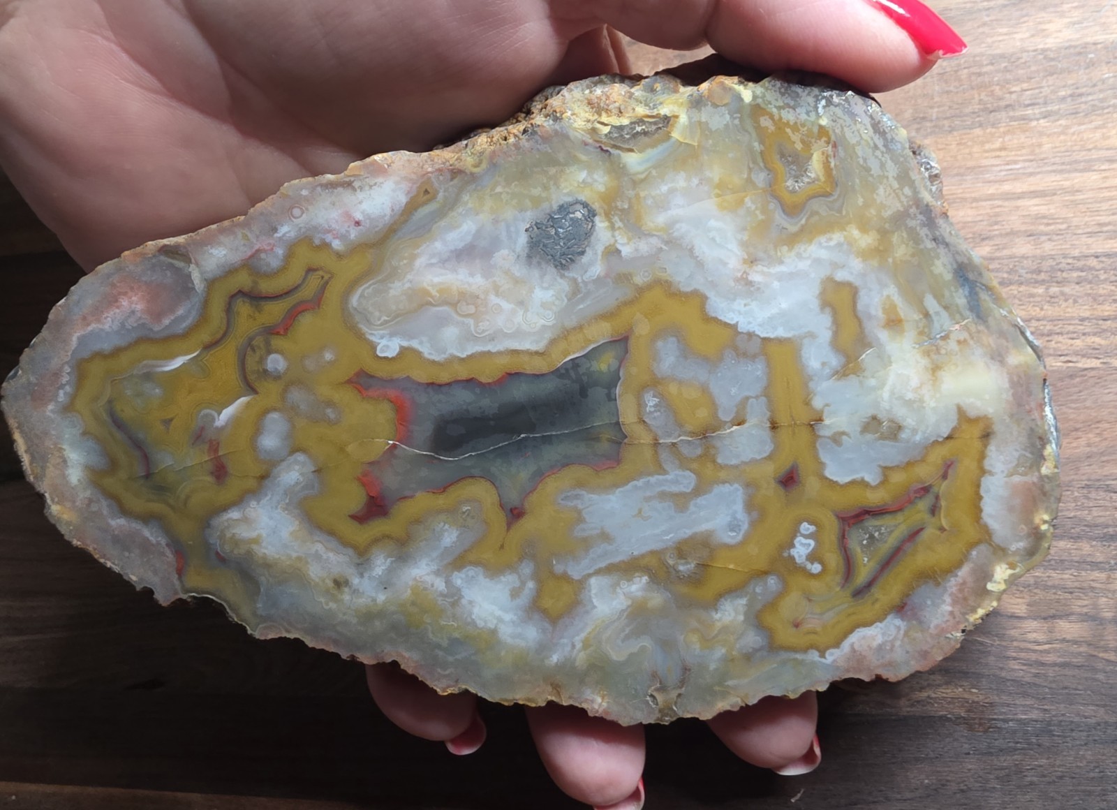 Beautiful Kentucky Agate Slab-Black, red, yellow with polished face #S-70