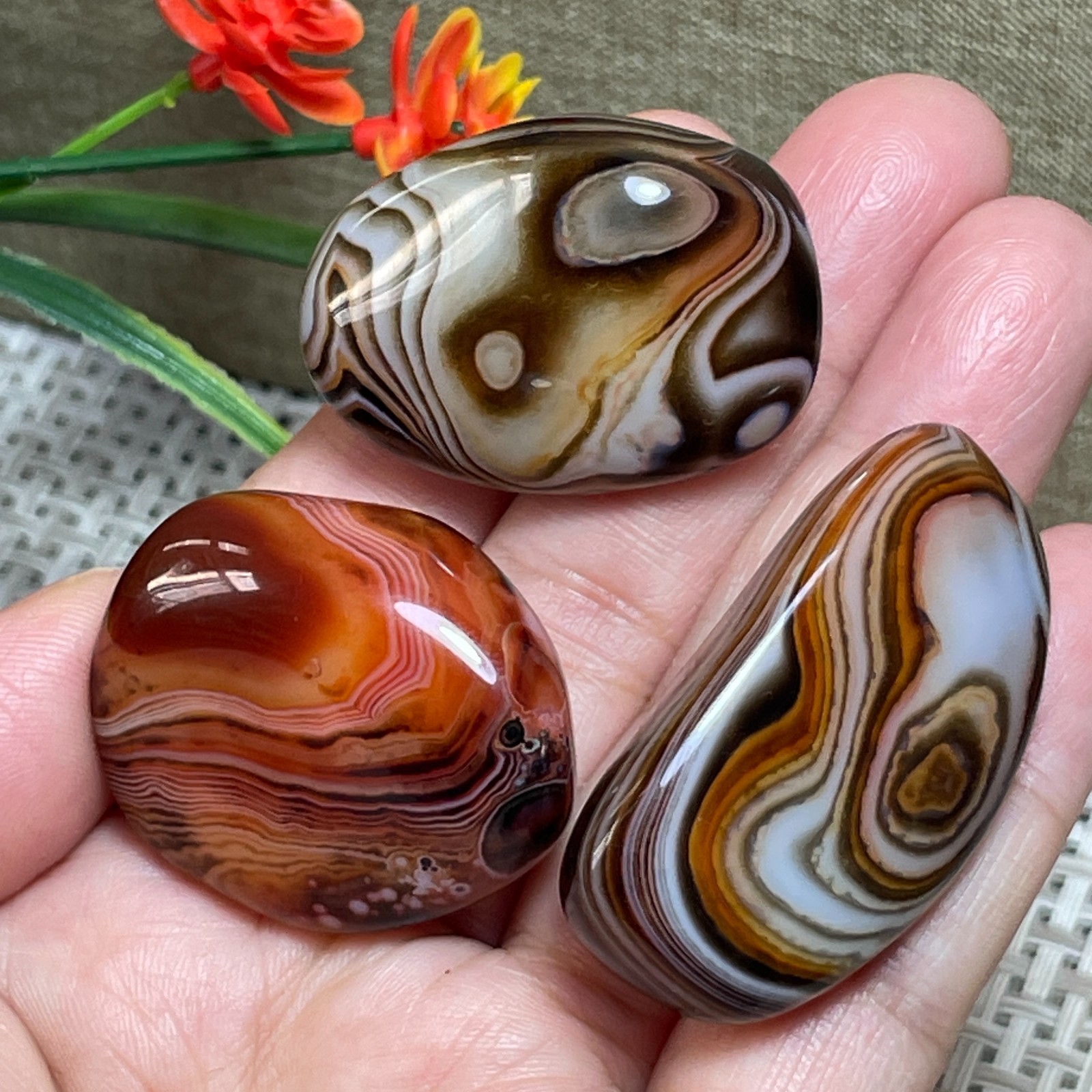 3pcs Crazy Lace SILK Banded Polished Tumbled Stone Madagascar Decor 77g