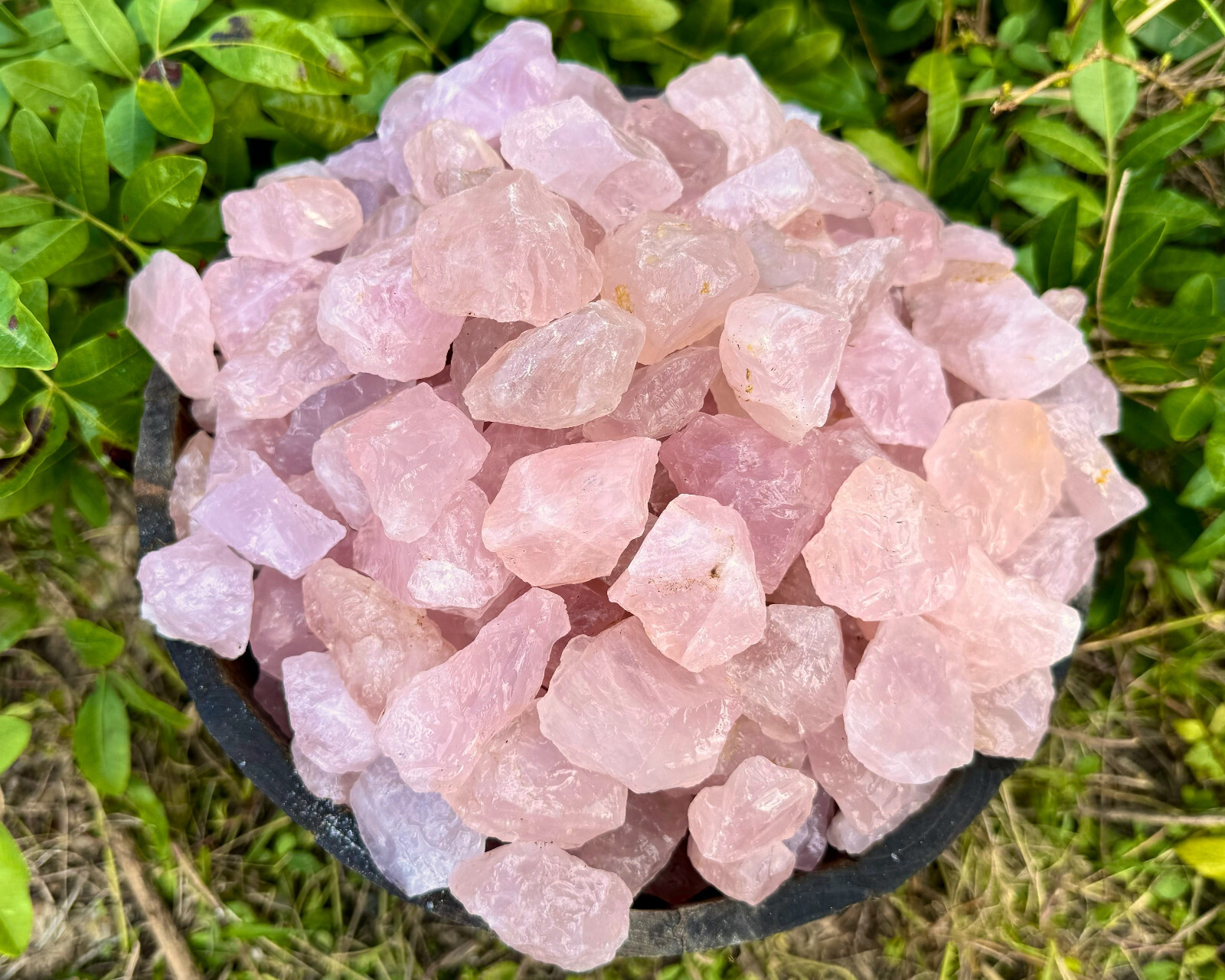 11 lb HUGE Wholesale Bulk Lot Natural Rough Rose Quartz Crystals, Raw Love Stone