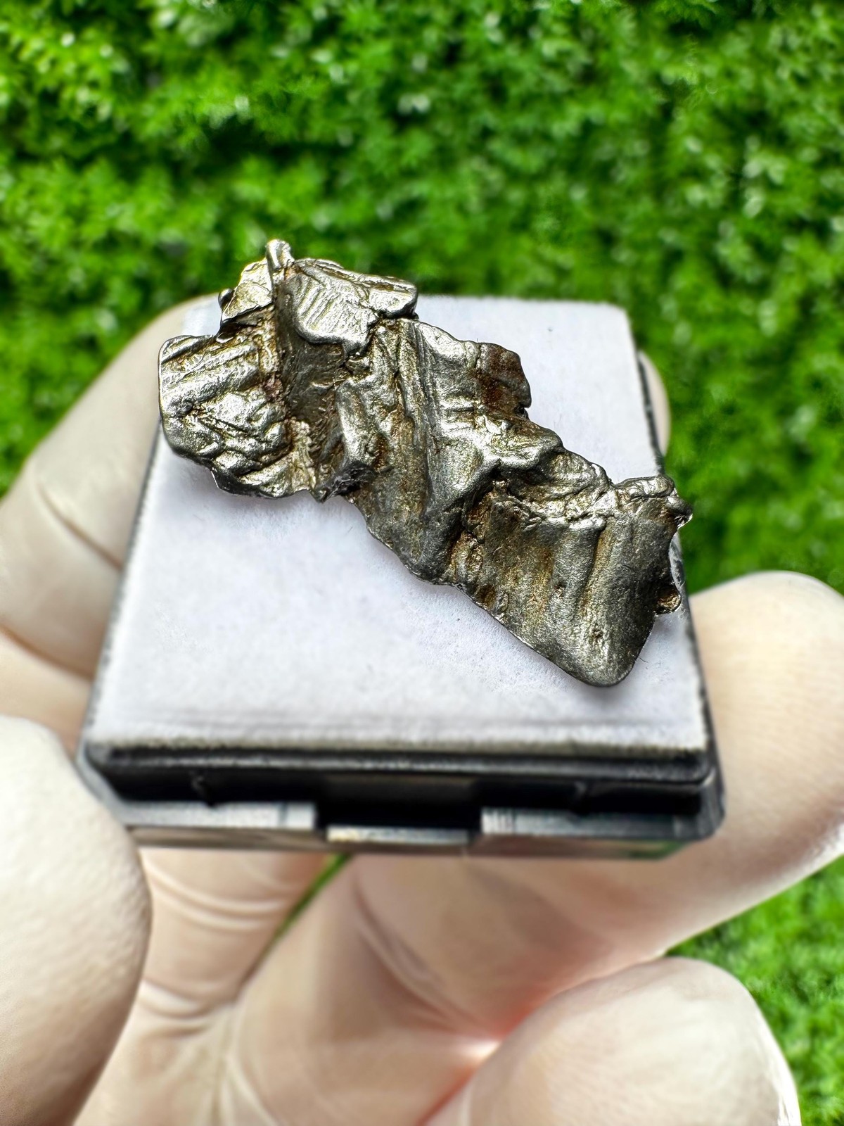 Genuine Aletai Iron Meteorite / From the Asteroid Belt Between MARS AND JUPITER!
