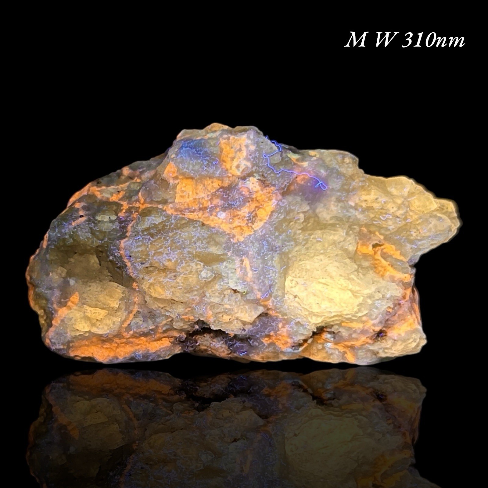 Afghanite, Lazurite, Marialite, Scapolite, Calcite, Fluorapatite, Phlogopite,