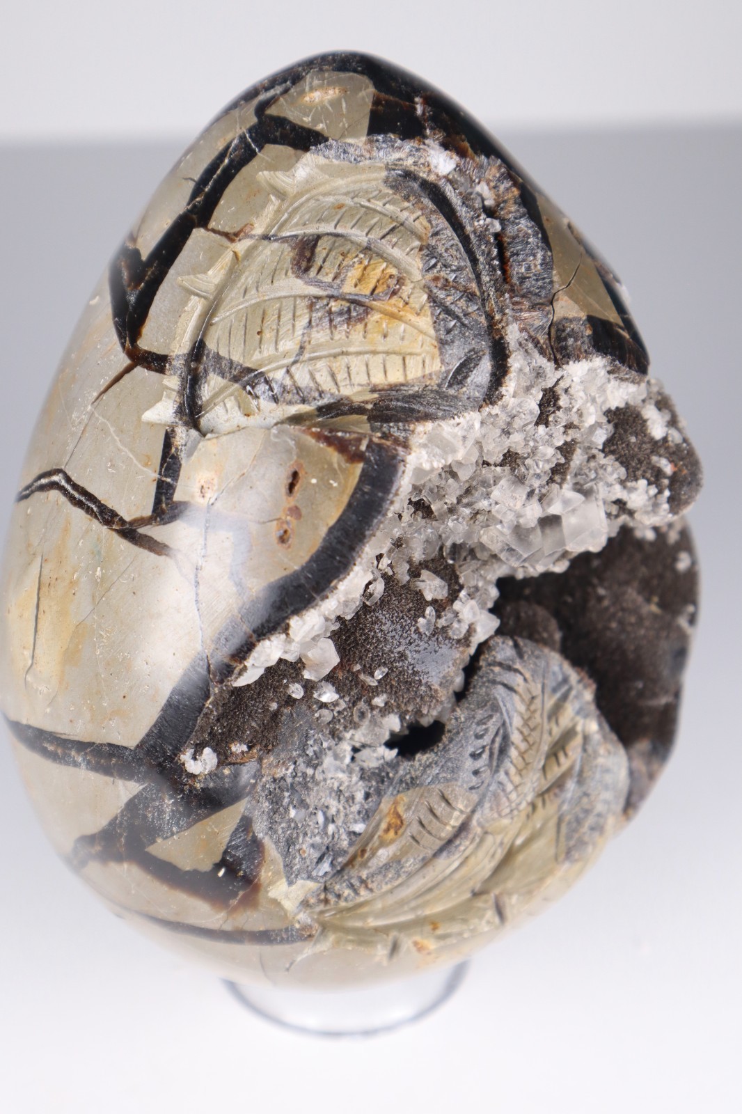 Huge Septarian Dragon Egg 4.3lb Calcite Crystal Cave Fossil Shell Display Stone