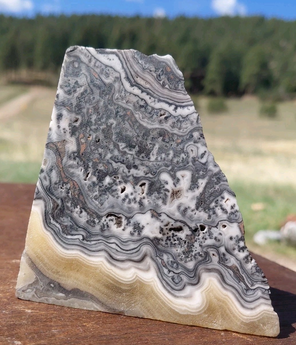 Zebra Calcite Polished Pyramid Dendrite Translucent Bands 3 1/4″x3 1/4″×2 1/2″