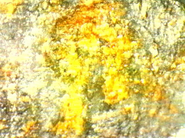 Platinum and Gold Ore Specimen/ Black Hills South Dakota