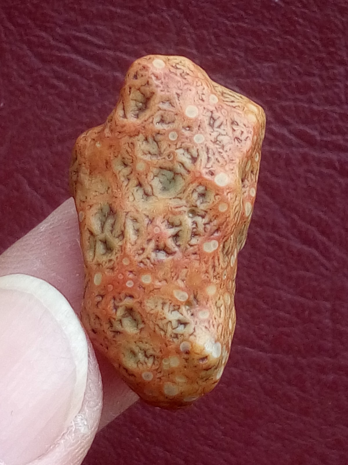 5 pieces Beautiful Natural GoBi agate veins agate Landscape stone
