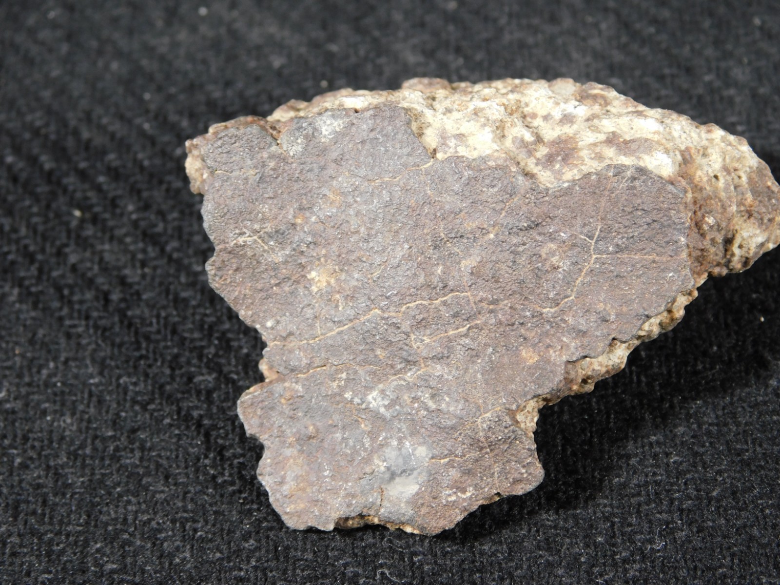 Classified NWA 8245 METEORITE 100% Natural FELL on Erfoud, Morocco 47.3gr