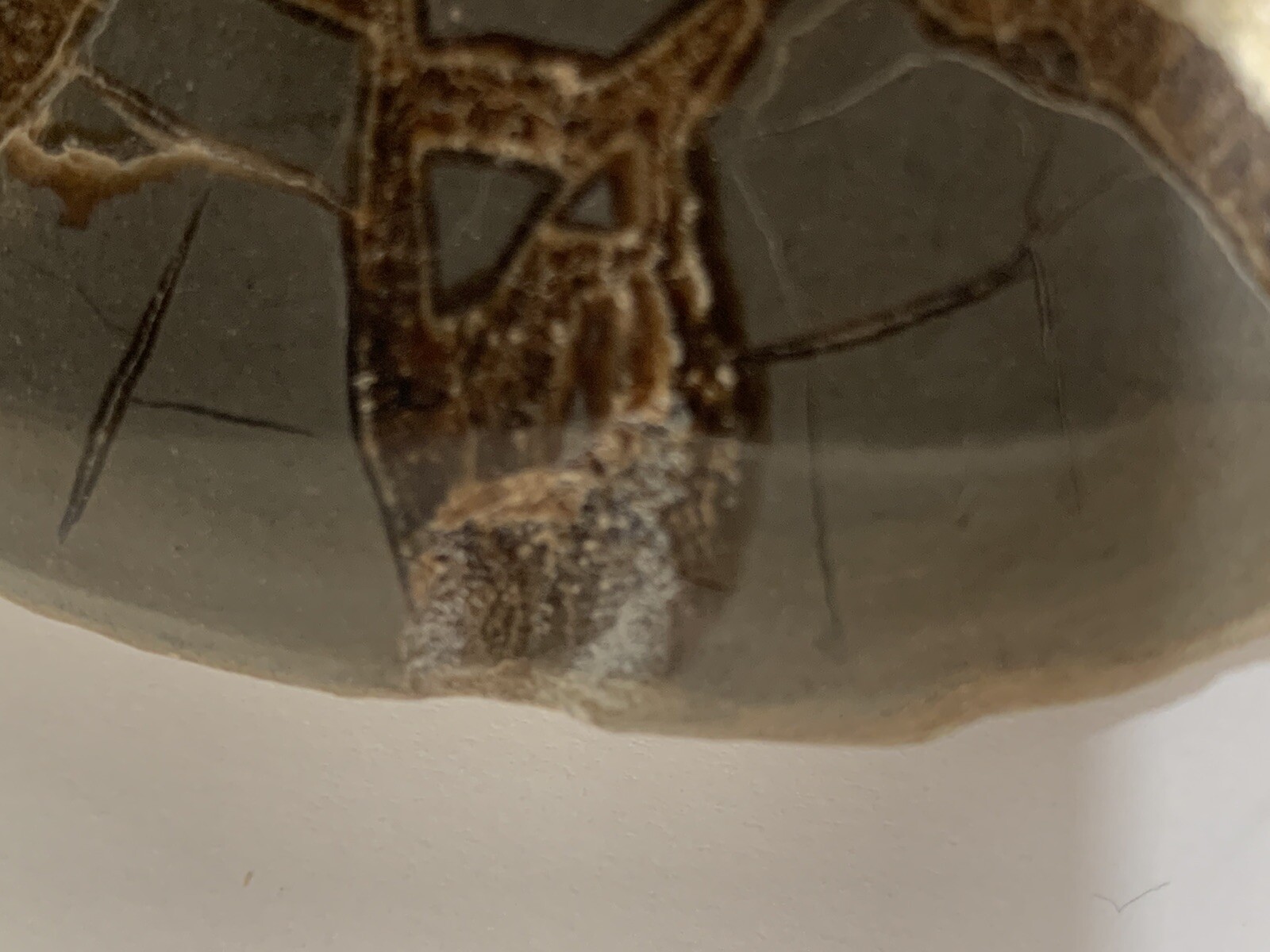 Septarian Nodule Display Slab( Utah) Stand And Description Card