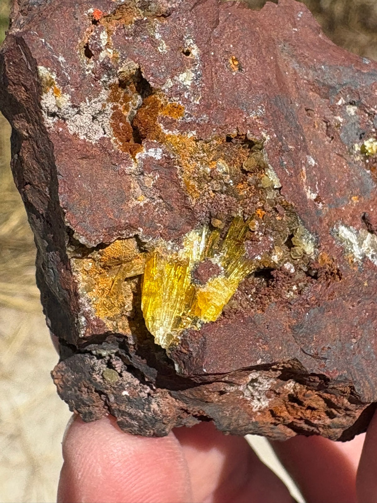 Legrandite crystal spray in matrix, Ojuela mine, Mapimi, Durango, Mexico