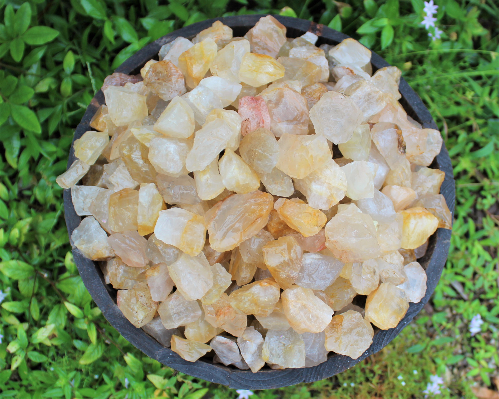 Golden Healer Quartz Rough Natural Crystals Wholesale Lots (Raw Golden Quartz)
