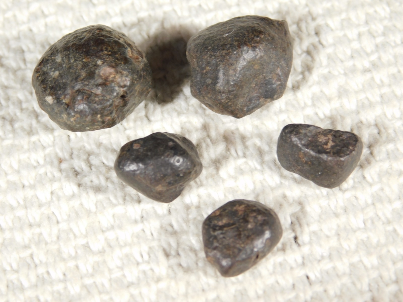 Lot of FIVE! Little 100% Natural N.W.A. Stony METEORITES Algeria 13.2gr