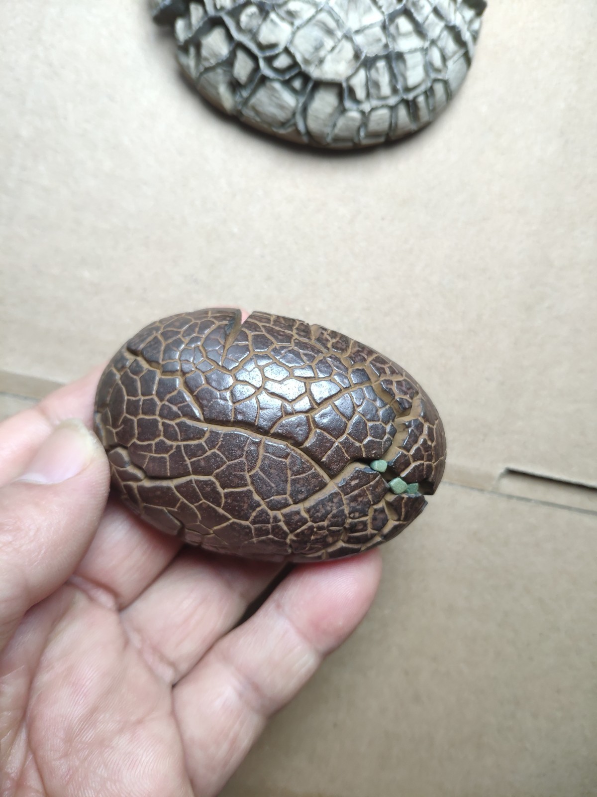 182g beautiful tortoise back pattern stone Turtle grain stone Landscape stone