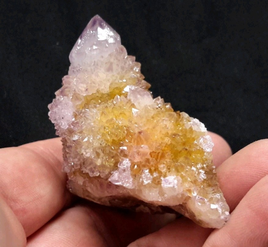 2″ CACTUS QUARTZ AMETHYST AMETRINE from Mpumalanga, South Africa