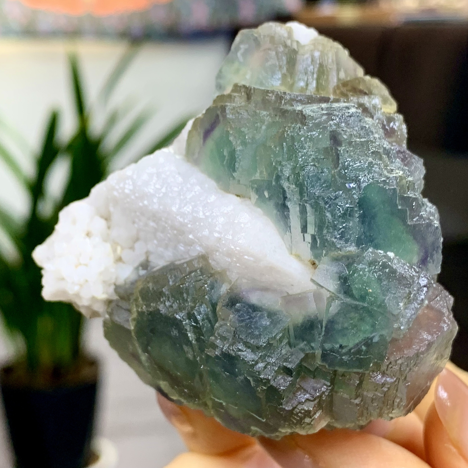 197G Rare transparent blue green cubic fluorite mineral crystal sample