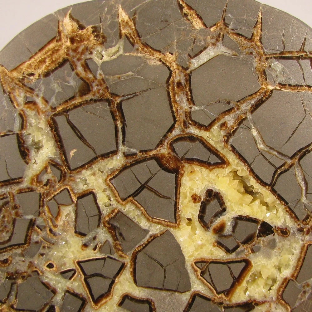 6.2″ Polished SEPTARIAN GEODE End Slab – Utah – 2.5 lbs.