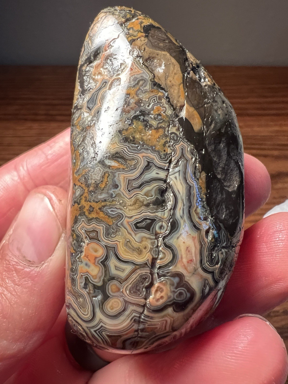 Very Nice Museum Quality Nebraska Fairburn Agate 5.25 oz 2.75×1.5×1.5”