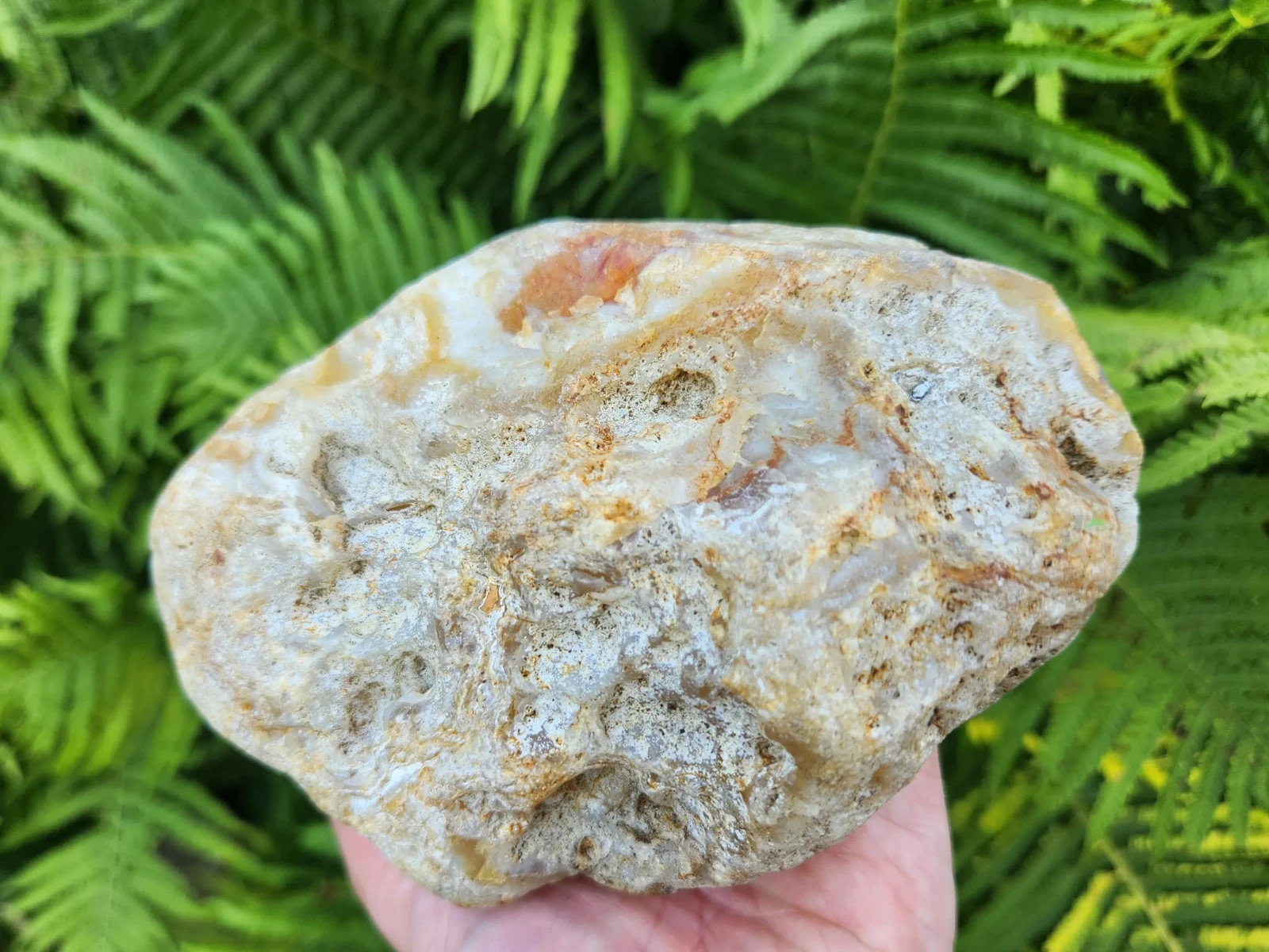 Large Oregon River Agate w/ Waterline Features, 2 lbs 4 oz, Chalcedony, Lapidary