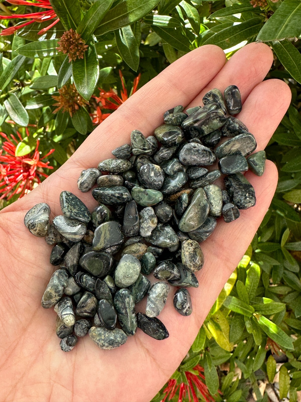 Grade A++ Kambaba Jasper Semi Tumbled Gemstone Chips 4-10mm, Wholesale Bulk Lot