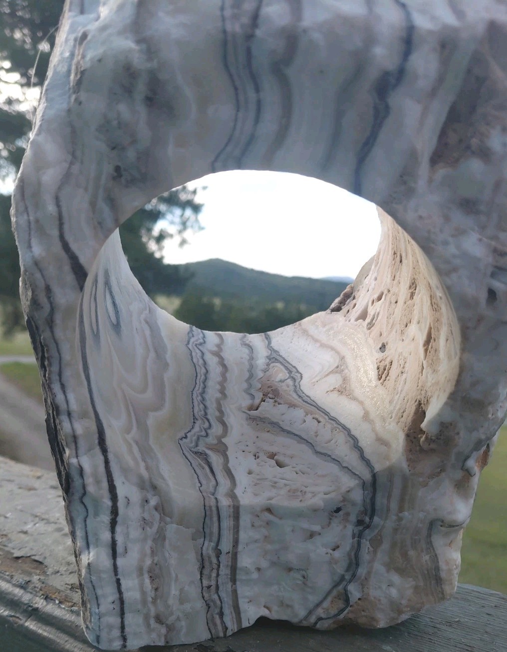 13.25Lb Zebra Calcite W CORED 4″ “Window” Display UV+ Bands Wrap Unique Décor