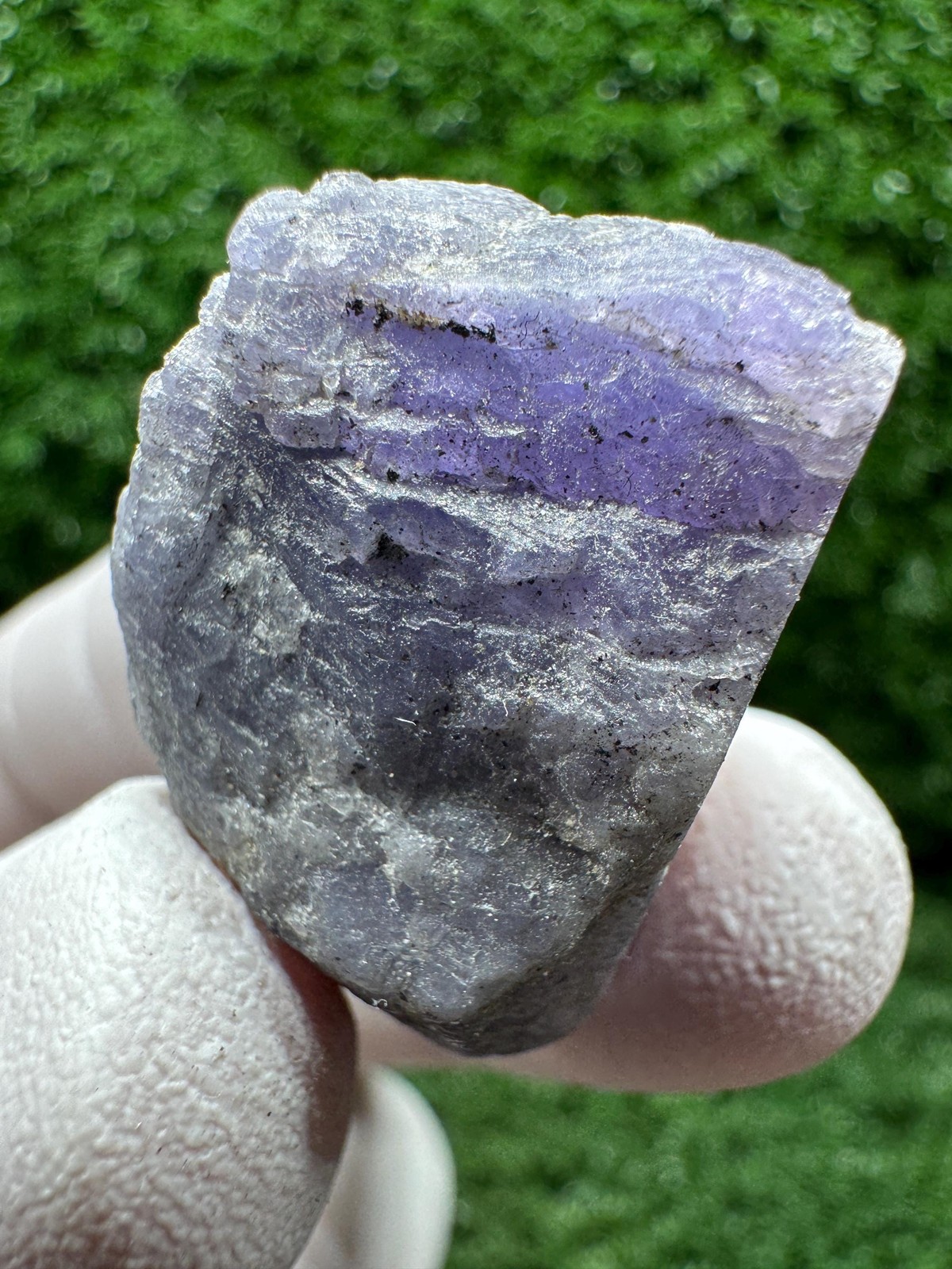 Amazing TANZANITE Crystal with COLOR CHANGE under yellow/white light / F226