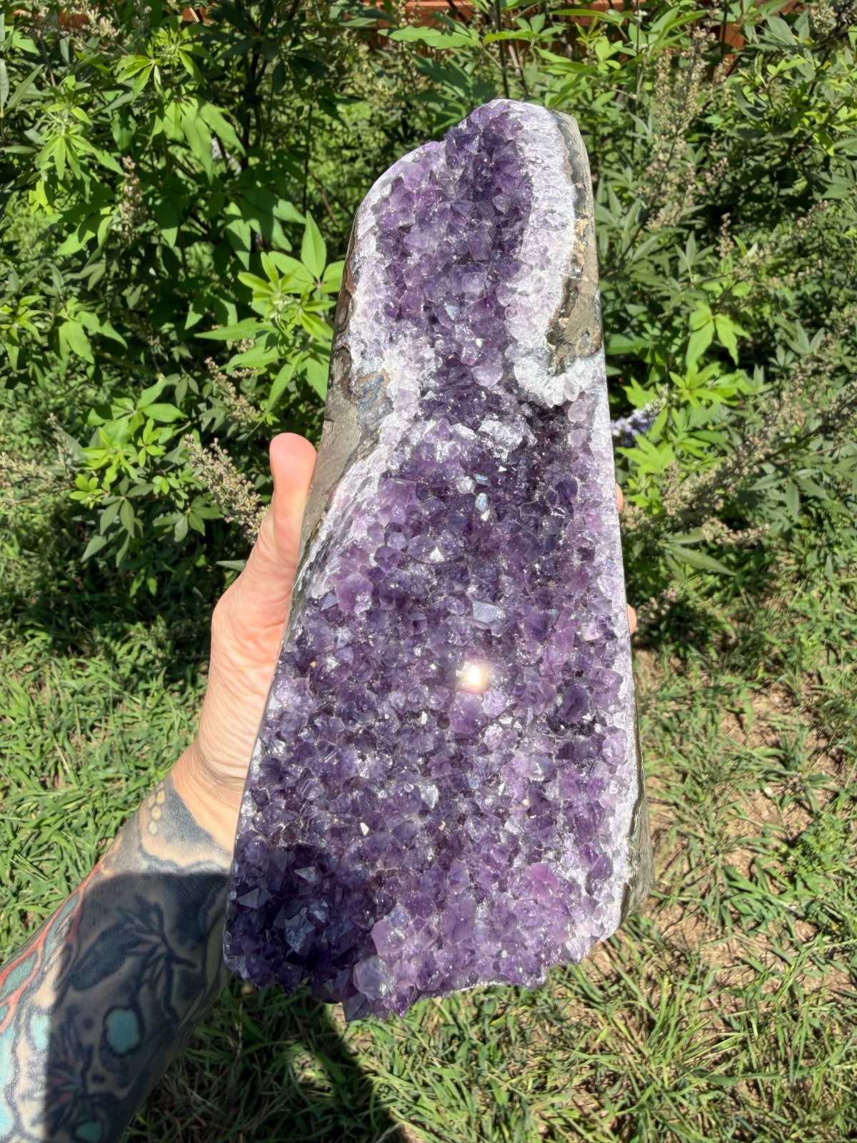 Uruguayan Amethyst Cluster 4lb 1.5oz 7.25″ Cut Base Free-Standing One of a Kind