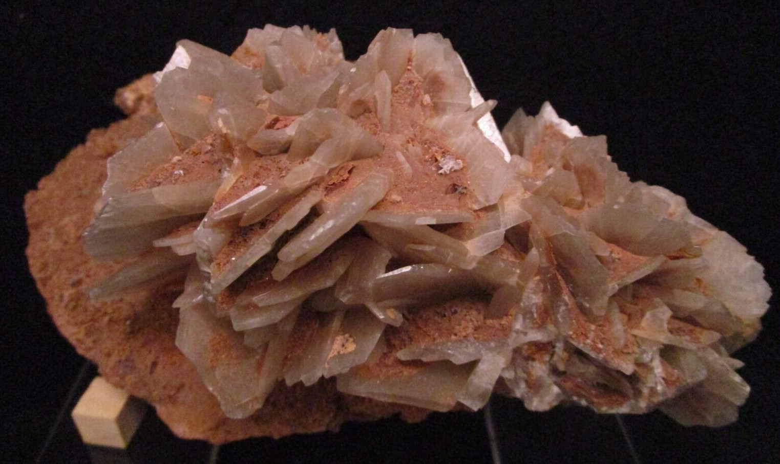 * Interesting and Unique Barite Gem Crystal Blade Clusters on Tan Matrix