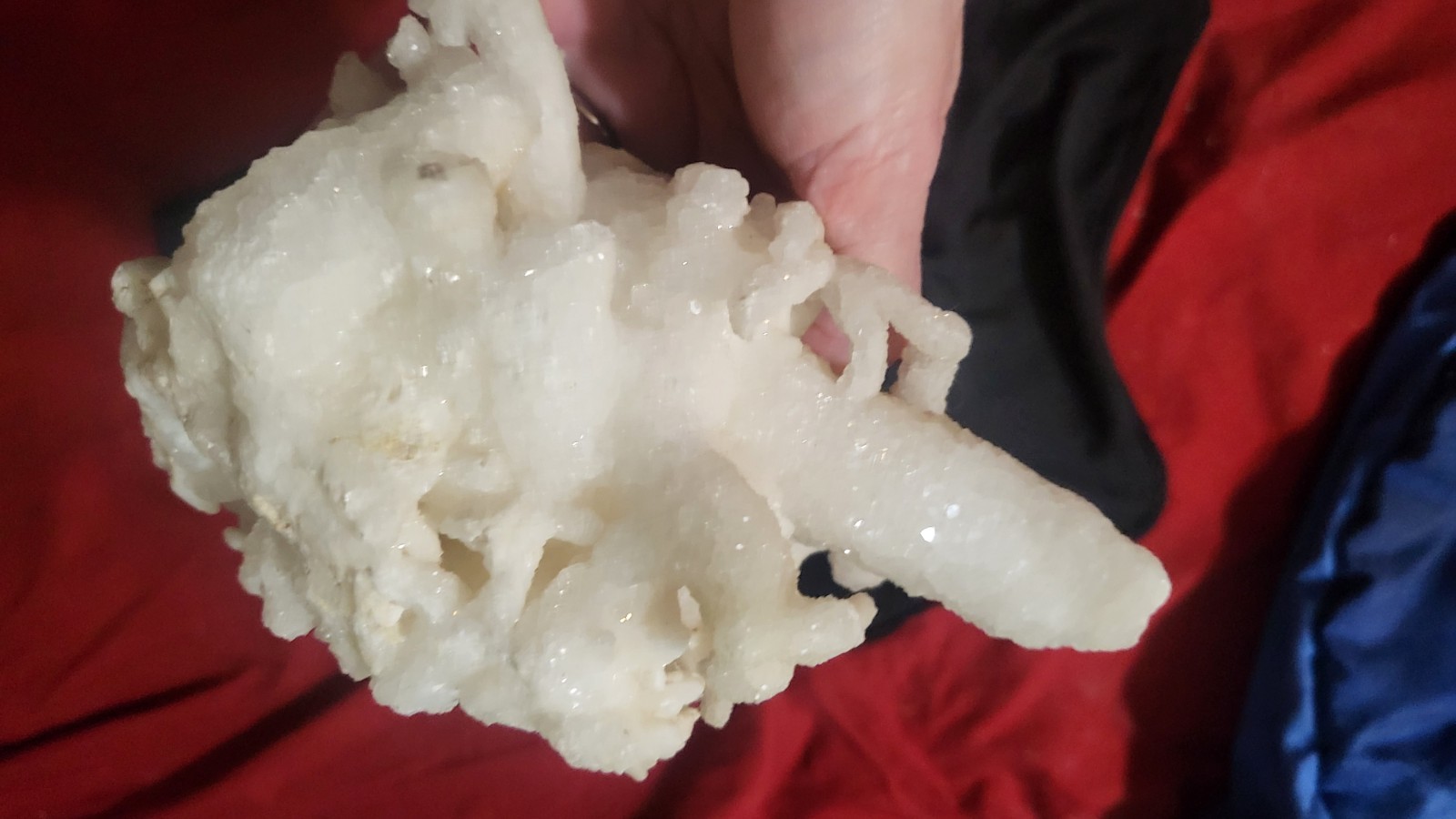 Highly Prized Rock and Mineral Collection