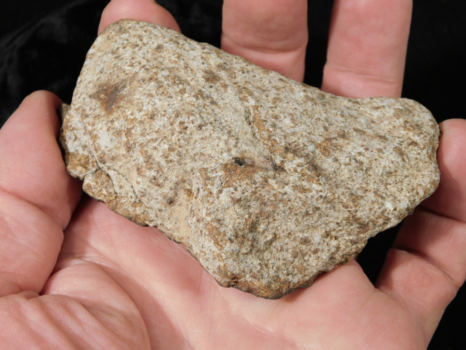 Larger! Classified NWA 8245 METEORITE 100% Natural! Erfoud, Morocco 184gr